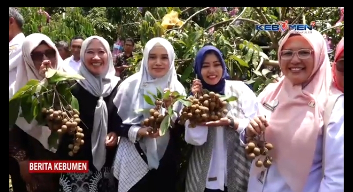 Service-1-min (1) kegiatan petik kelengkeng kebun kelengkeng jerukagung